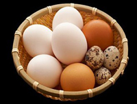 Перепелиные яйца - альтернатива лекарствам